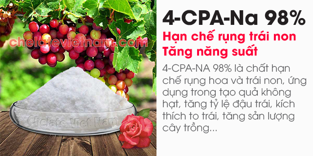 4-CPA-Na 98% (Hạn chế rụng trái non, tăng năng suất)